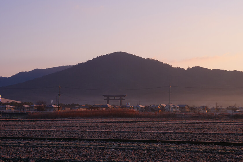 Kyoto Yokooji Movement Park - Everything to Know BEFORE You Go